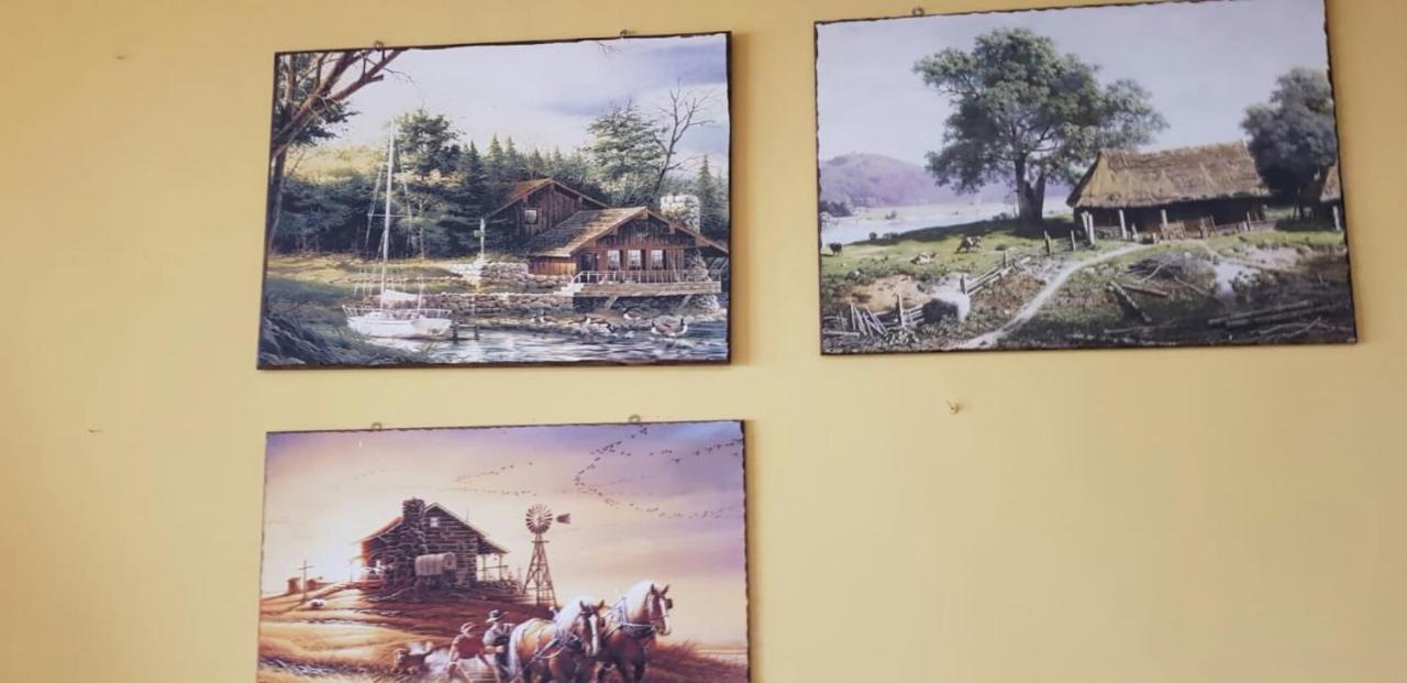 Leyla Hostel Brasov Ngoại thất bức ảnh