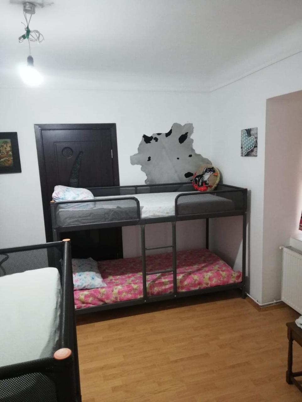 Leyla Hostel Brasov Ngoại thất bức ảnh