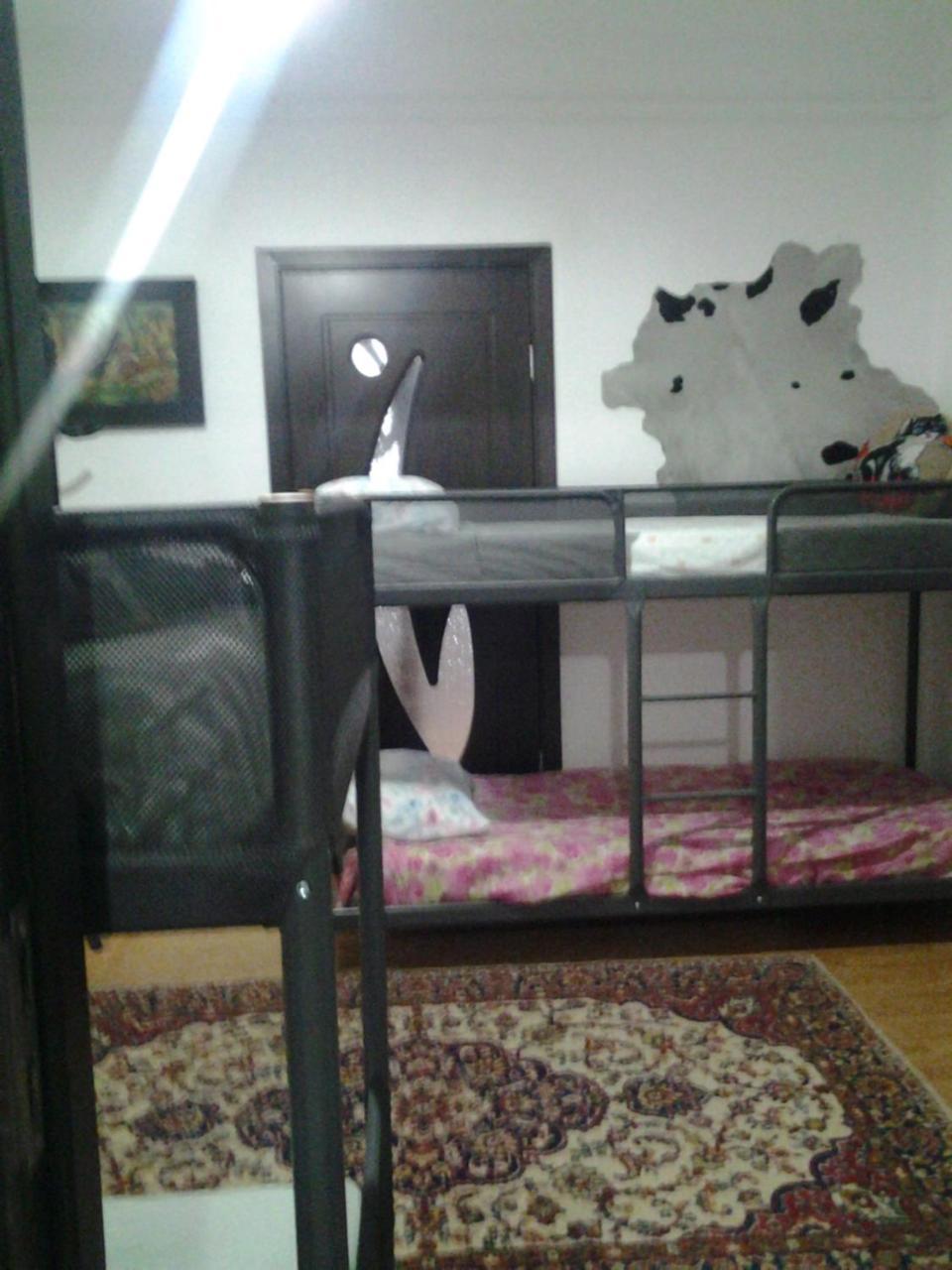 Leyla Hostel Brasov Ngoại thất bức ảnh