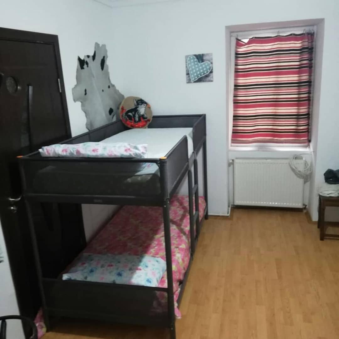 Leyla Hostel Brasov Ngoại thất bức ảnh