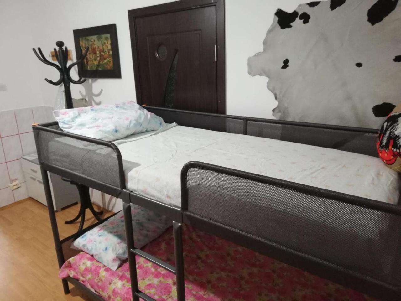 Leyla Hostel Brasov Ngoại thất bức ảnh